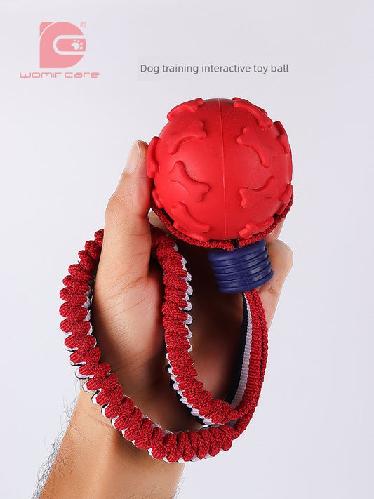 Interactive Dog with Tetherball Pet Supplies