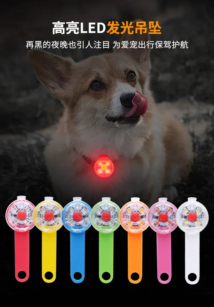 LED Pet Dog Cat Collar Pendant Night Safety Cat Luminous Light IPX7 Waterproof Flashing Harness With Light for Dog Accessories