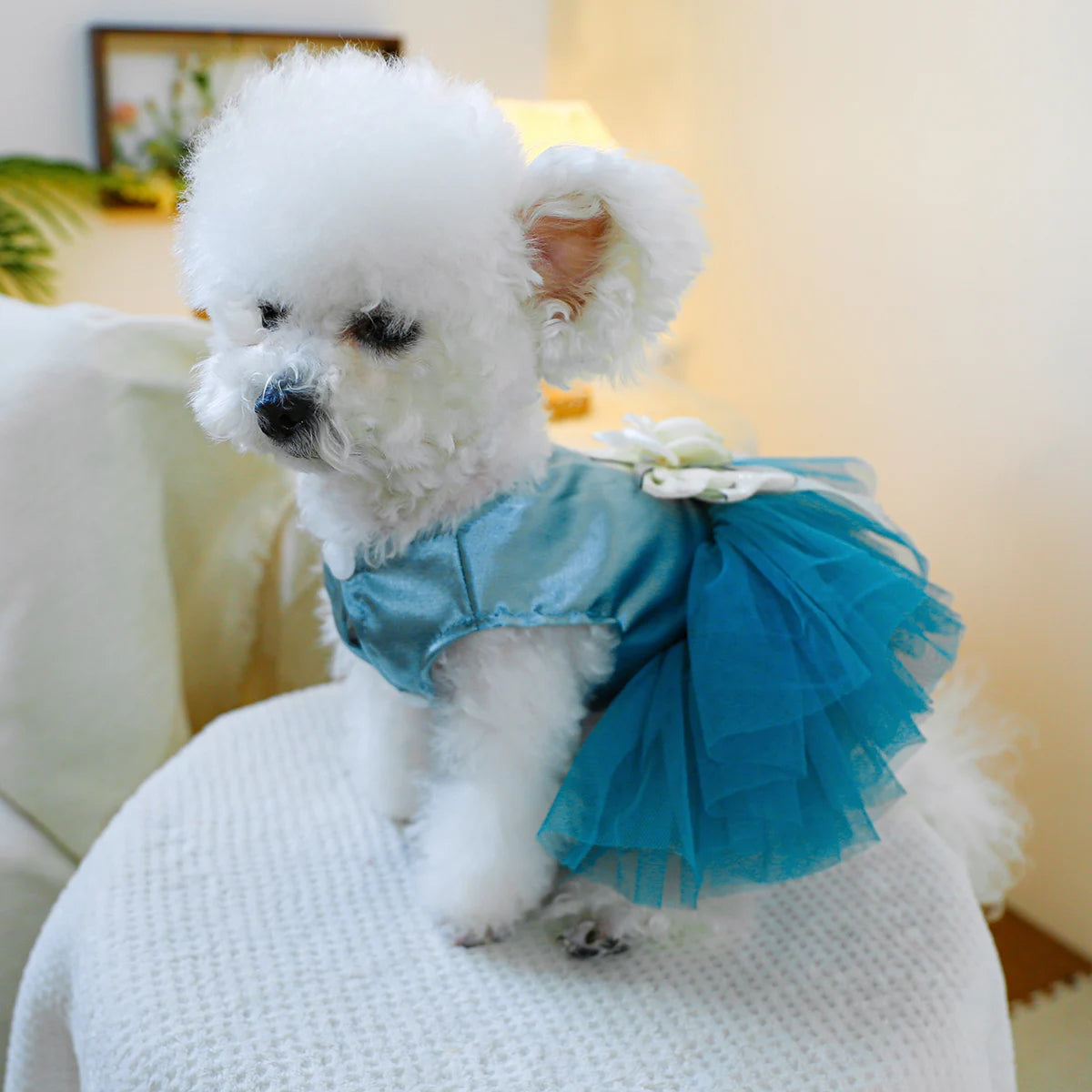 1PC Pet Clothing Cat Spring/Summer Blue Tank Top Bow Princess Dress Traction Buckle Suitable for Small and Medium sized Dogs