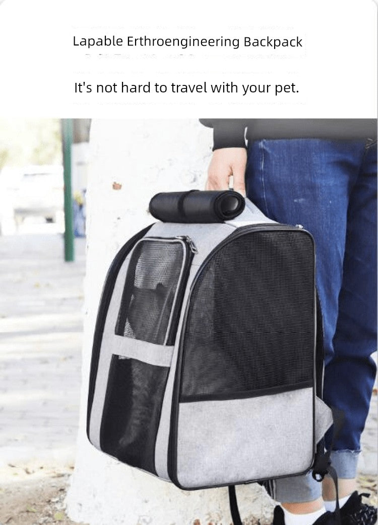 Bolsa para gatos plegable de lona portátil y transpirable de dos capas