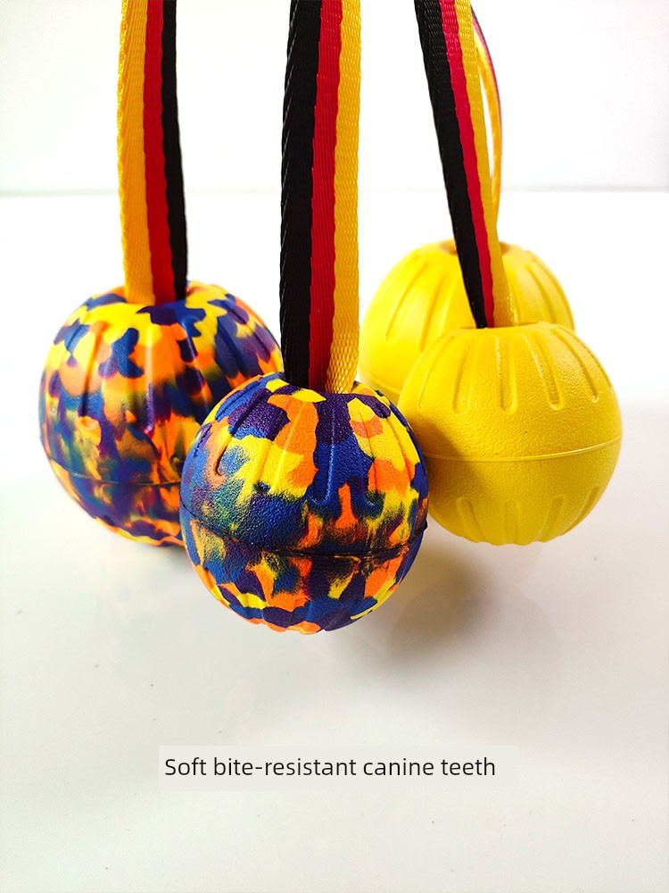 Pet Training Ball Elastic Single Rope Bite-Resistant Large Dog