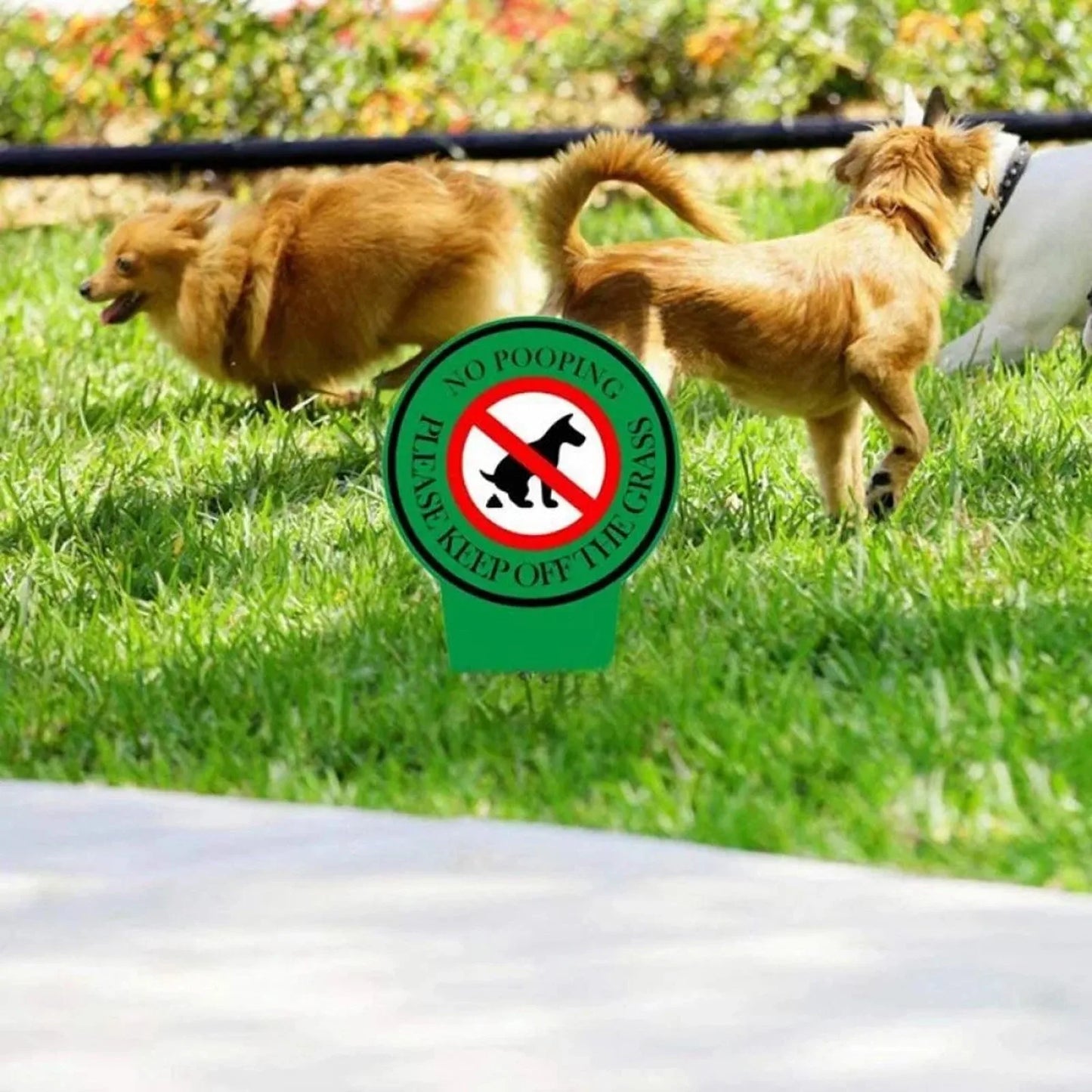 2 Pack Double Special Dog Sign No Peeing Dog Sign With Stake Stop Dogs From Peeing Metal Dog Signs