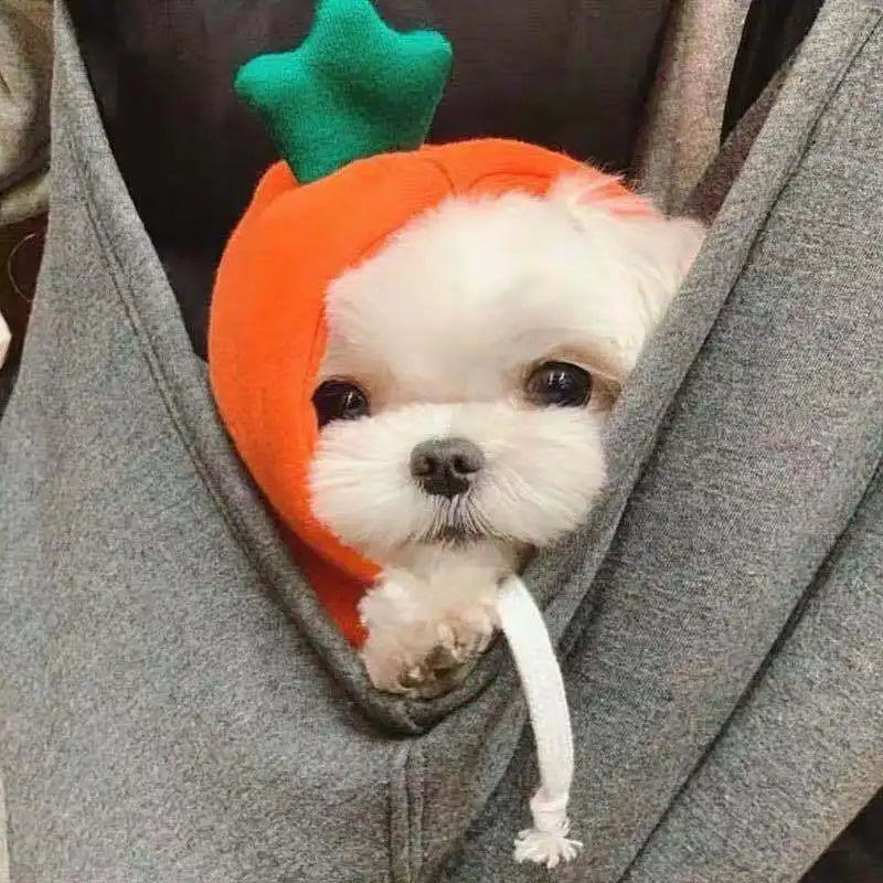 Cute Fruit Dog Clothes Reindeer Small Dogs Hoodies Warm Pet Clothing Puppy Cat Costume Coat Chihuahua Mouse Cheese Jacket Suit