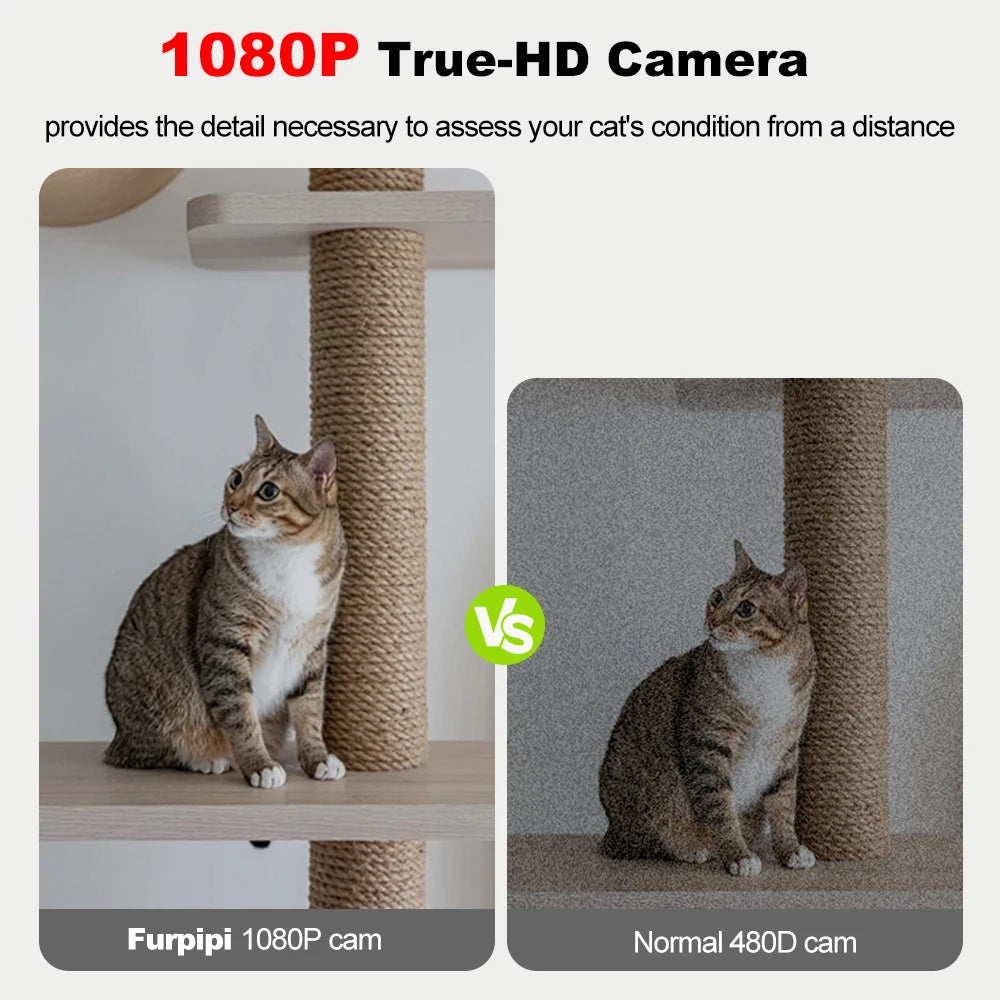 Automatic Feeder for Cats Dogs with Camera HD 4L/8L Furpipi HD 1080P 2.4G/5GWiFi Time Setting Feeder for Pets Dogs Cats Bowls