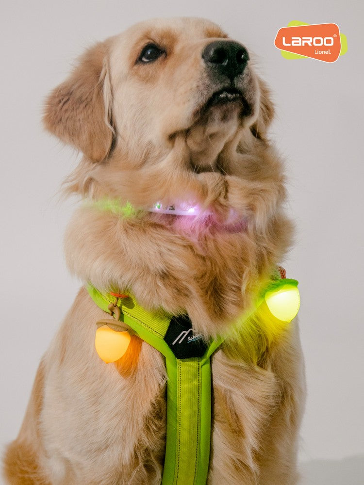 Night Light Rechargeable Luminous Dog Tag