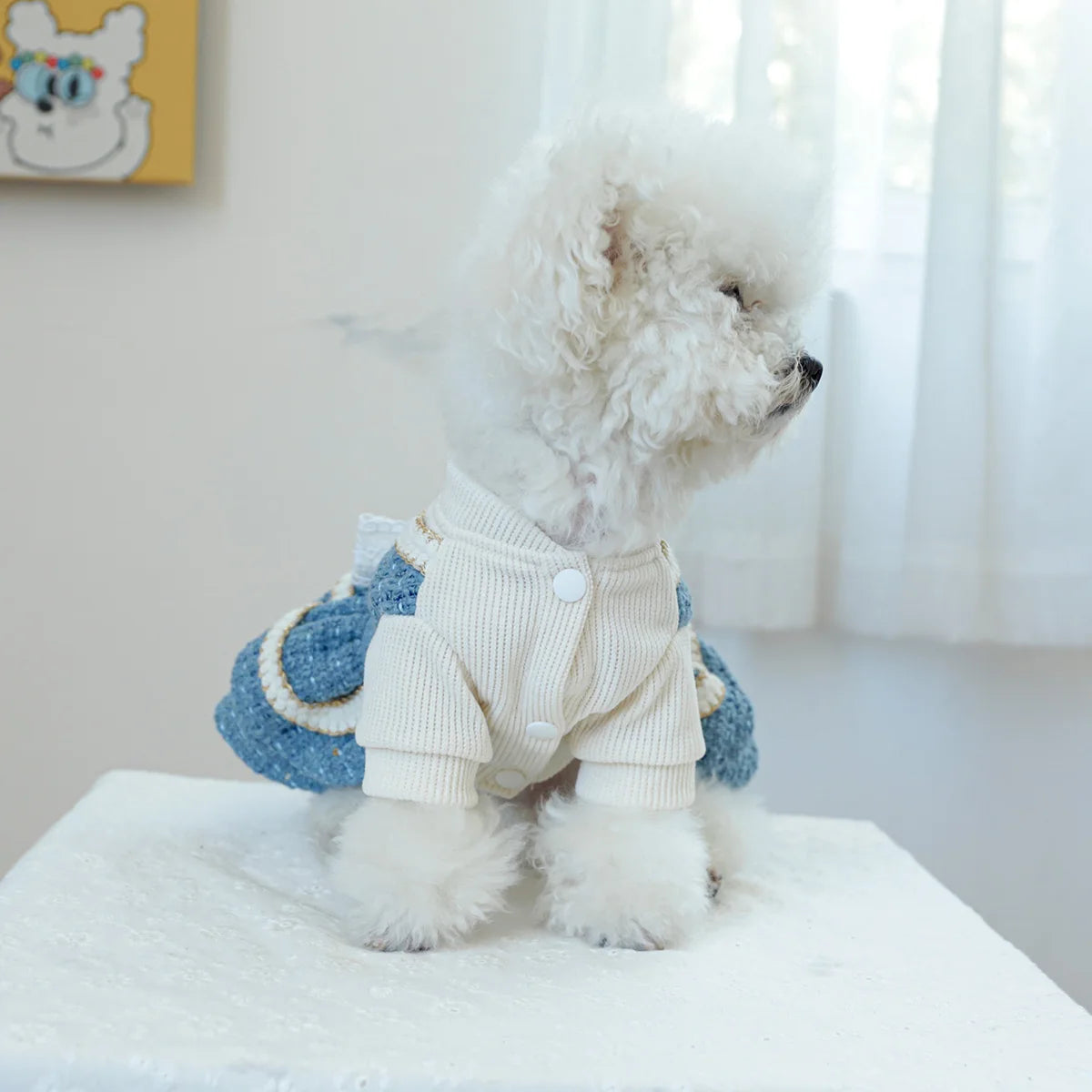 1PC Pet Clothing Autumn/Winter Thick Blues Noble Dress Princess Dress Suitable for Small and Medium sized Dogs