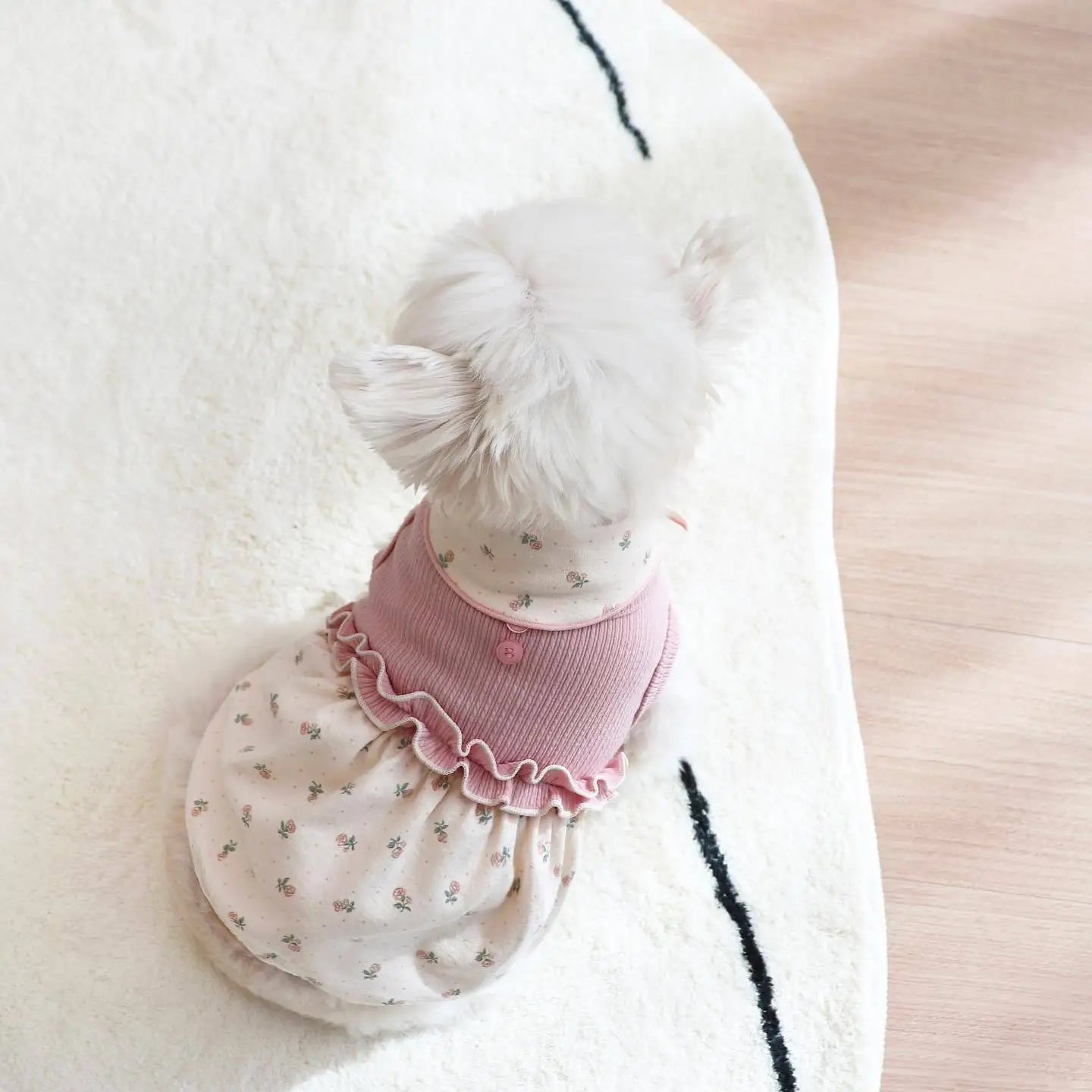 New Winter INS Small Scarf Floral Bubble Skirt Vest Dog Cat Home Clothes Pet Clothes Scarves Dog Clothes Designer Floral Lace