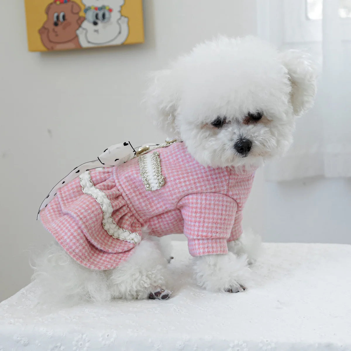 1PC Pet Clothing Dog Cat Autumn/Winter Thick Pink Sweetheart Princess Dress Suitable for Small and Medium sized Dogs