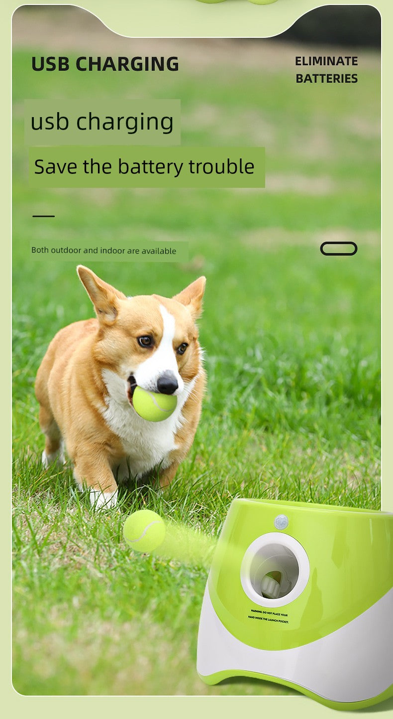 Transmitter Automatic Ball Throwing Pet Dog