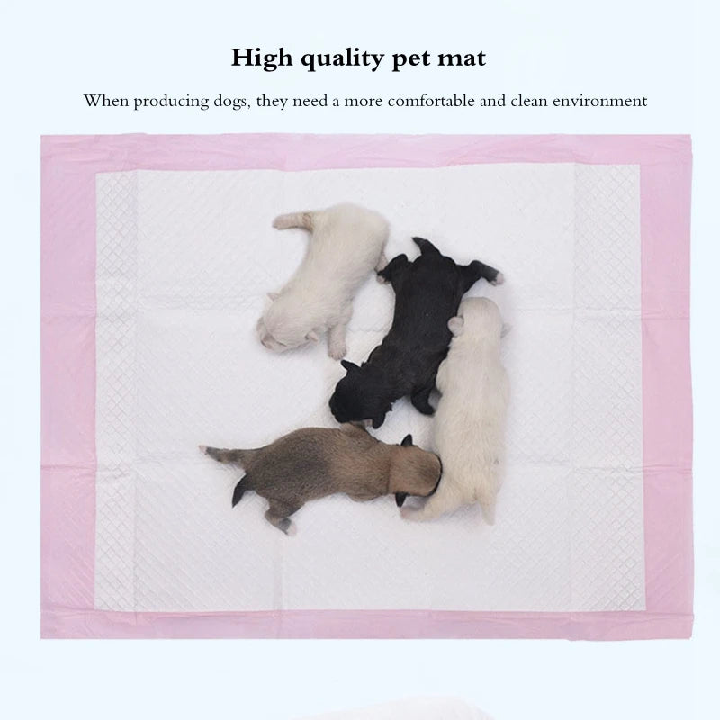 Disposable Training Pee Pads For Dog Super Absorbent Pet Puppy Throwaway Healthy Clean Nappy Mat OneTime Dairy Diaper Supplies