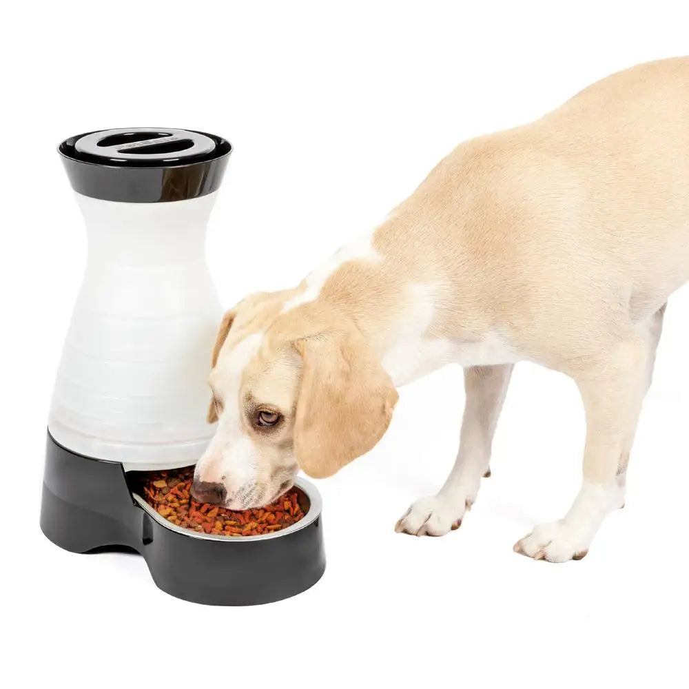 Automatic Pet Food Dispenser Large Capacity Gravity Feeder Stainless Steel Bowl Top Shelf Dishwasher Safe Slim Design Matching