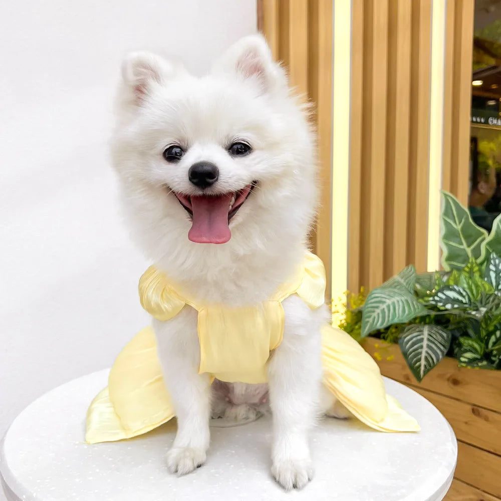 Pet Wedding Dress Dress Bow Skirt Dog Cat Clothing Pull Teddy Bears Spring/Summer Puppy Clothes Dog Clothes for Small Dogs