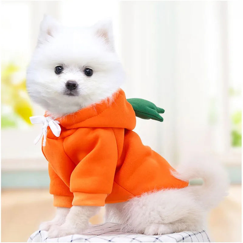 Cute Fruit Dog Clothes for Small Dogs Hoodies Warm Fleece Pet Clothing Puppy Cat Costume Coat for Puppy Small Medium Dogs Cats