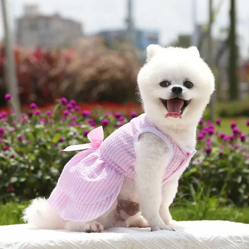 Dog Dresses for Small Dogs Cats Puppy Clothes Summer Princess Pet Dresses Girl Female Doggies Tutu Skirt Apparel for Chihuahua