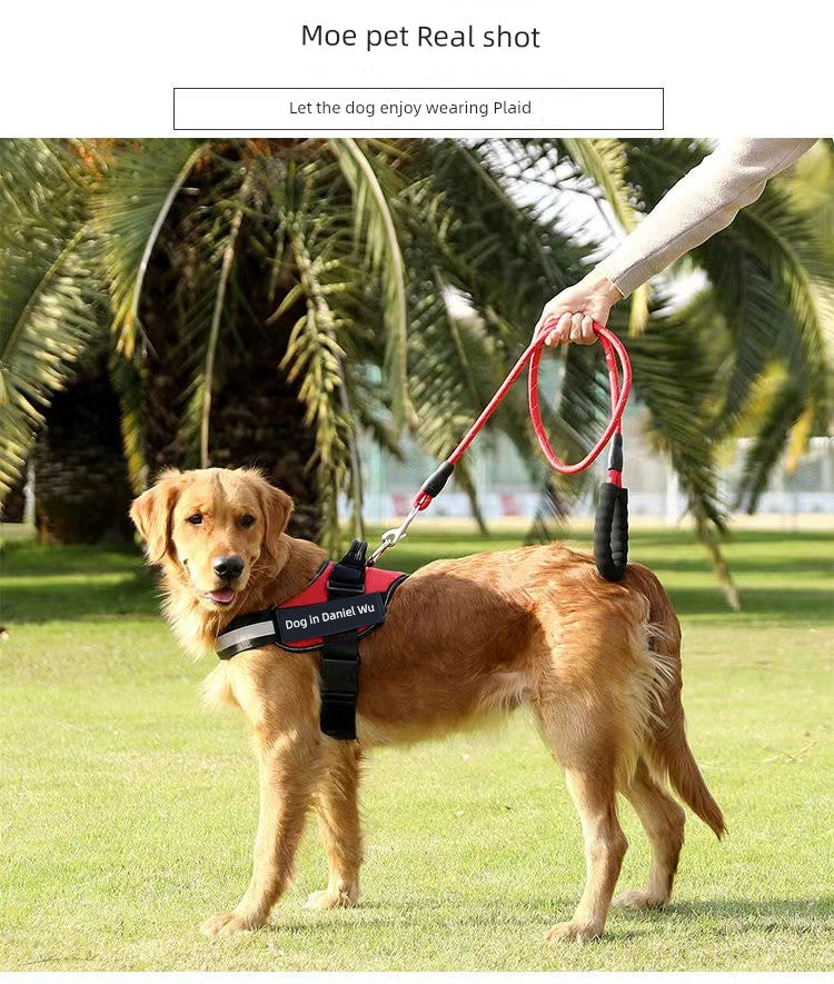 Chest and Back Medium-Sized Dog Hand Holding Rope