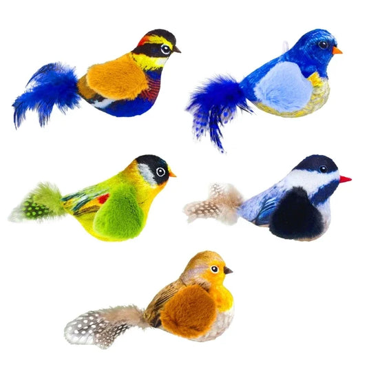 Toy Indoor Interactive Birds Toy for Cat Chasing Teasing Toy