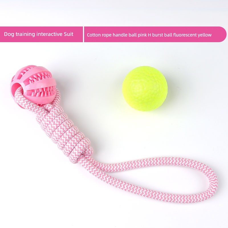 Interactive Dog with Tetherball Pet Supplies