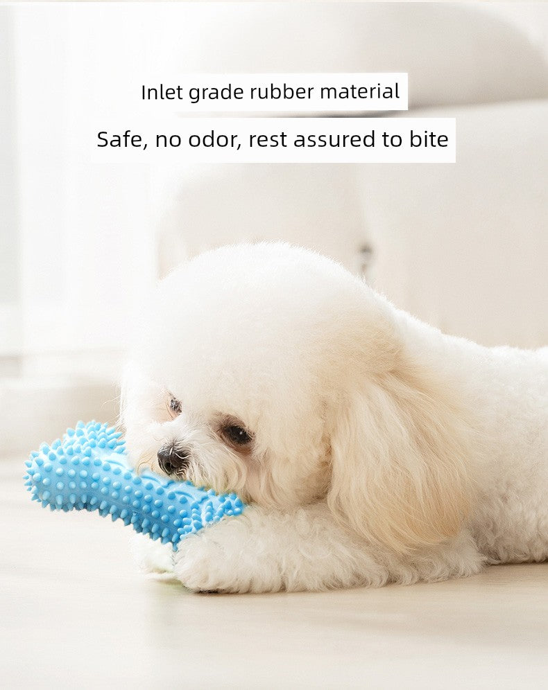 Zihi Relieving Boredom Handy Gadget Toy Bichon Small Dog