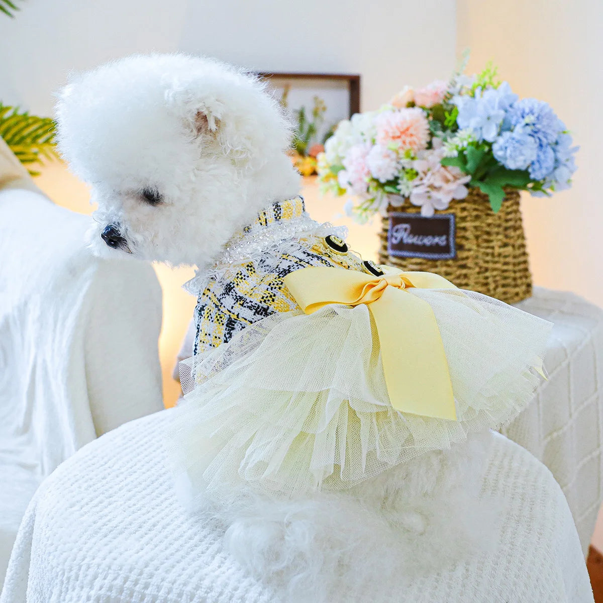 1PC pet clothing dog spring and autumn yellow charm princess wedding dress princess skirt suitable for small and medium dogs