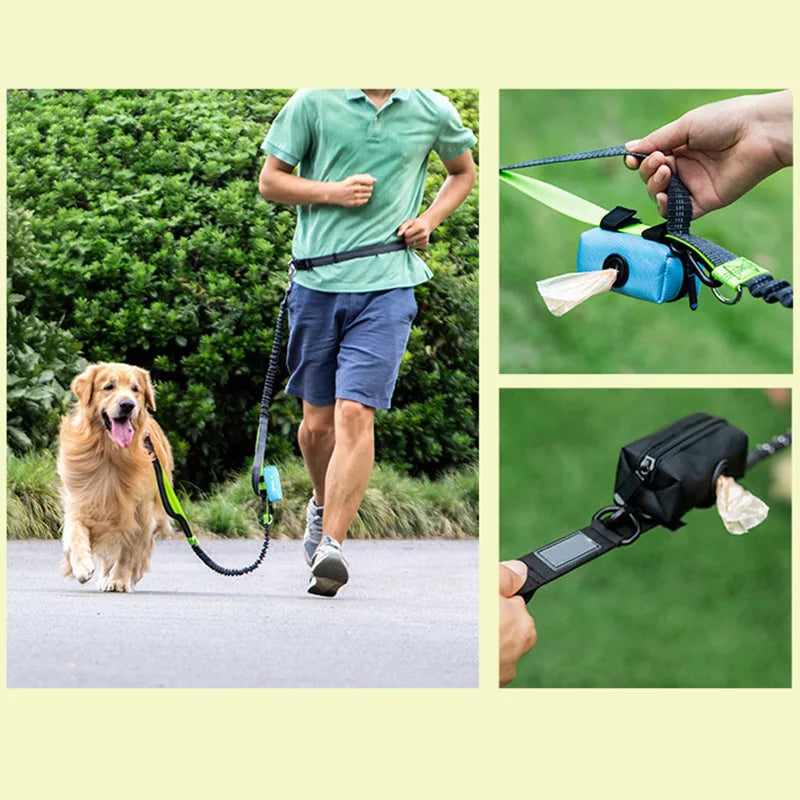 Distributeur de sacs biodégradables pour déjections de chien, organiseur de sacs poubelles pour animaux de compagnie, chiots et chats, support de sac pour les voyages