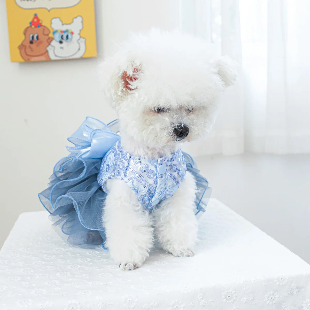 1PC Pet Clothing Spring and Autumn Blue Star River Dress Wedding Princess Dress Suitable for Small and Medium sized Dogs