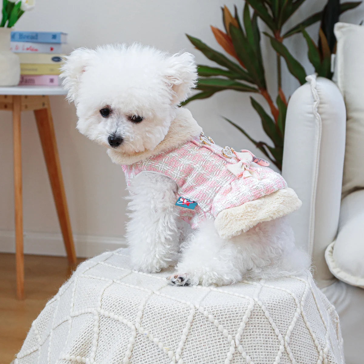 1PC Pet Clothing Autumn/Winter Thick Pink Small Butterfly Bow Dress Princess Dress for Small and Medium sized Dogs