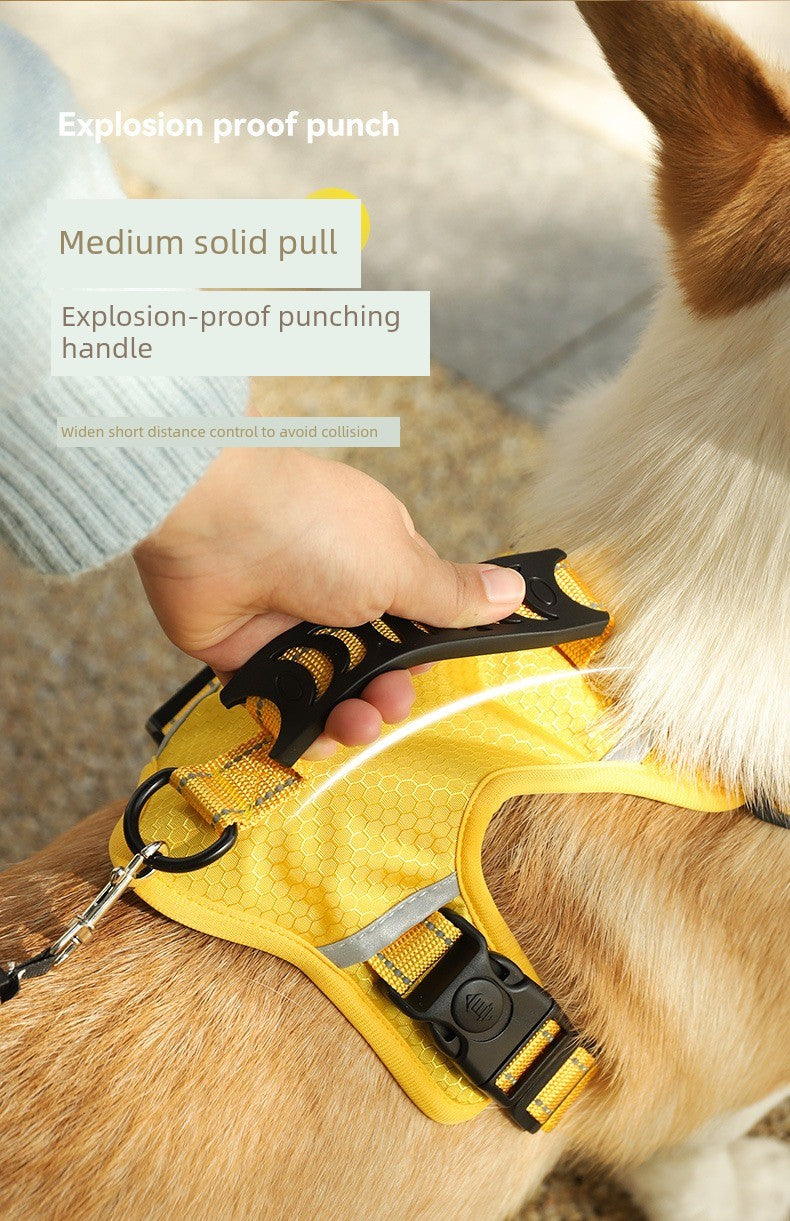 Pet Harness Dog Walking Dog Hand Holding Rope