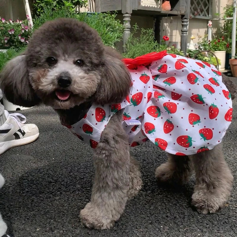 Robe imprimée pour chien avec nœud mignon, jupe princesse Chihuahua, robe pour animaux de compagnie pour petits et moyens chiens, jupe pour chien, robes de mariée, vêtements York