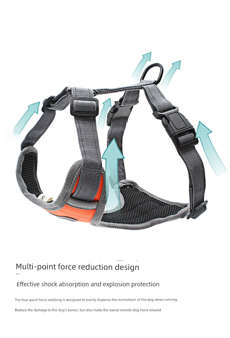 Dog Harness