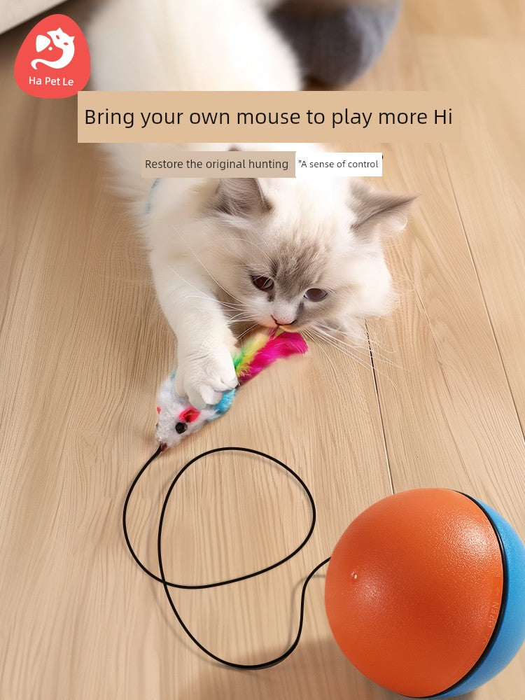 Self-Hi Relieving Stuffy Consumption Mouse Exercise Cat Toy