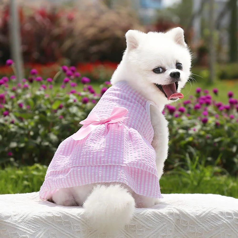 Dog Dress for Small Dog Girl Puppy Clothes Female Princess Tutu Striped Skirt Summer Shirt for Chihuahua Cat Pet Apparel Outfits