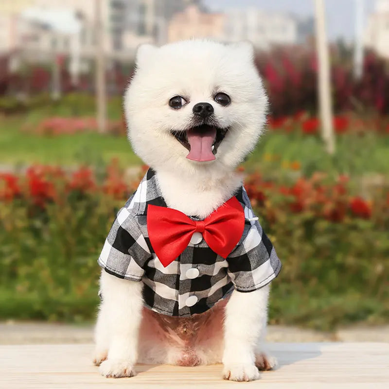 T-shirts classiques pour chiens avec nœud papillon et carreaux - Vêtements d'été fins et respirants pour petits et grands chiens - Chihuahua, chiot, chat - Gilet pour yorkshire