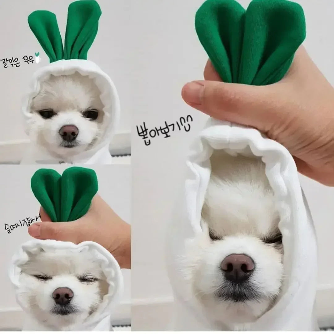 Cute Fruit Dog Clothes Reindeer Small Dogs Hoodies Warm Pet Clothing Puppy Cat Costume Coat Chihuahua Mouse Cheese Jacket Suit