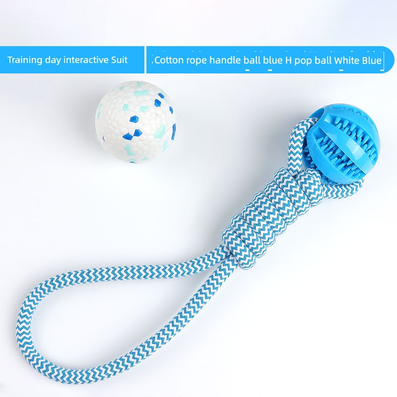 Interactive Dog with Tetherball Pet Supplies