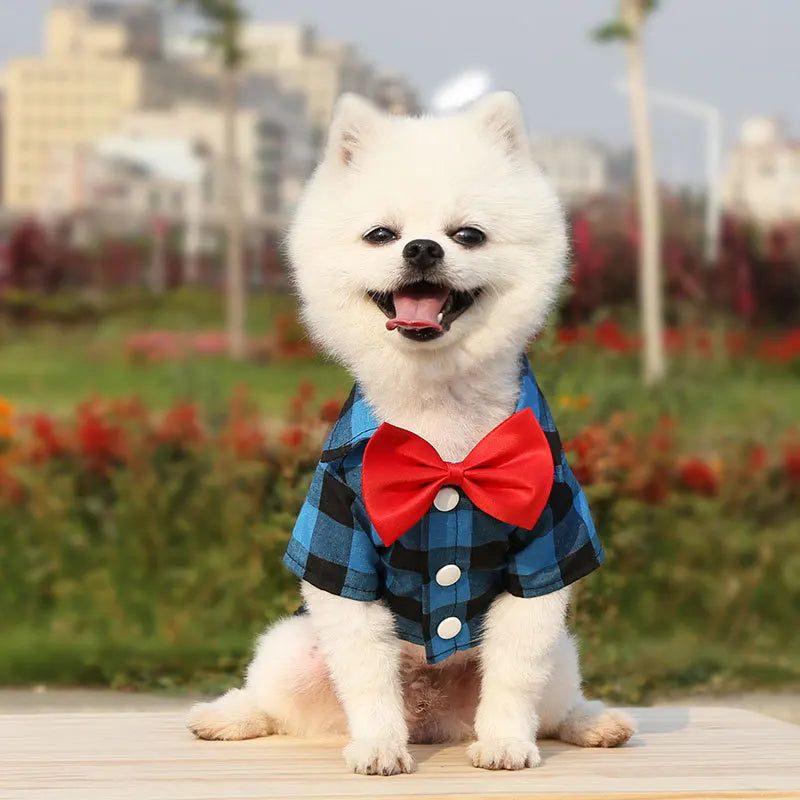 T-shirts classiques pour chiens avec nœud papillon et carreaux - Vêtements d'été fins et respirants pour petits et grands chiens - Chihuahua, chiot, chat - Gilet pour yorkshire