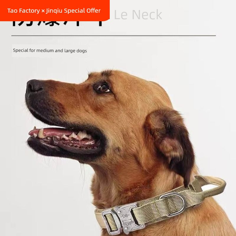 Large Dog Collar