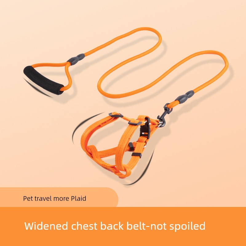 Harness and Leash for Small to Medium Sized Dogs