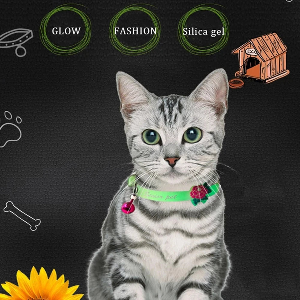 Collier lumineux pour chat - Collier lumineux pour petit chien et chat - Anti-perte - En silicone - Fluorescent - Clochette pour chat - Anneau de cou - Accessoires pour animaux de compagnie