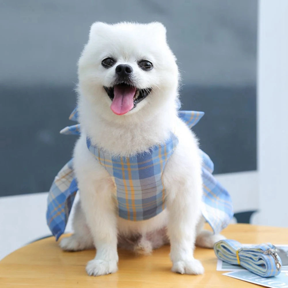 Dog Summer Dress Cat Skirt Pet Clothing Chihuahua Lattice Skirt Puppy Cat Princess Apparel Cute Puppy Clothes Pet Product