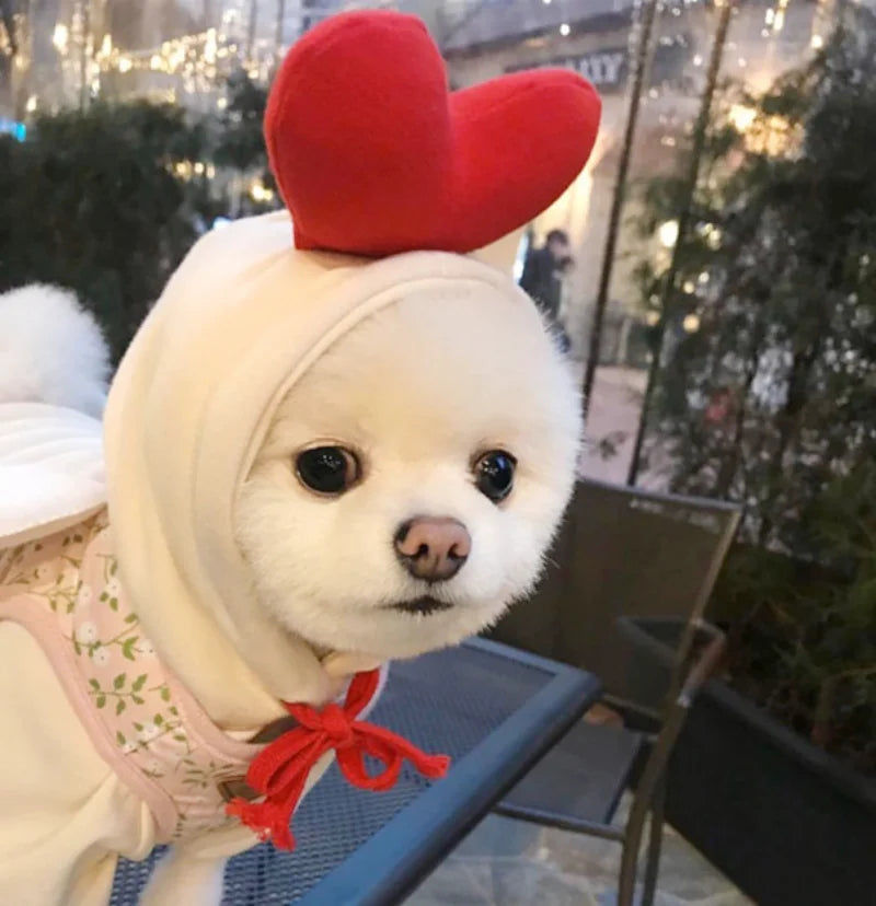 Cute Fruit Dog Clothes Reindeer Small Dogs Hoodies Warm Pet Clothing Puppy Cat Costume Coat Chihuahua Mouse Cheese Jacket Suit