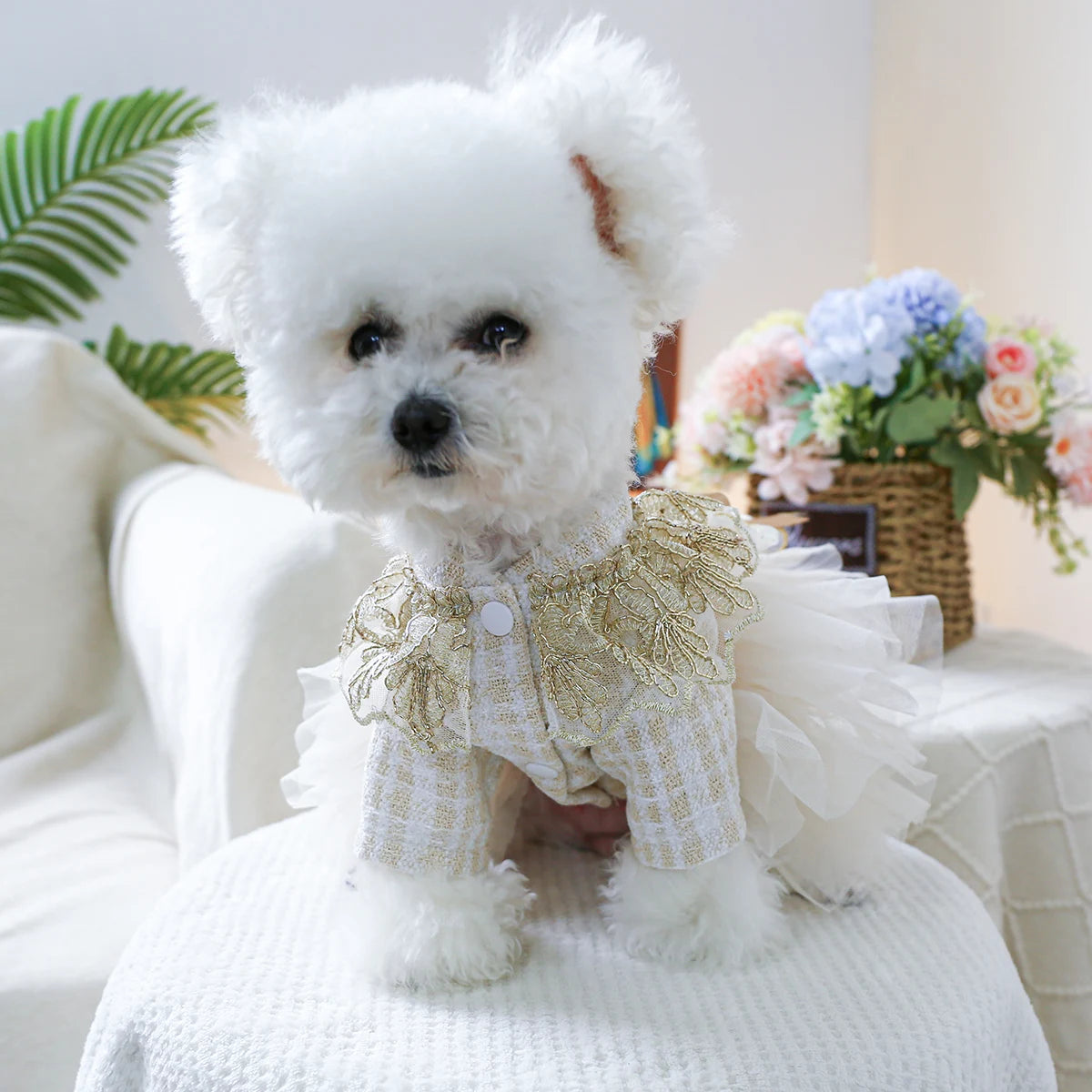 1PC Pet Clothing Spring and Autumn Dream Starry Wedding Dress Princess Dress Suitable for Small and Medium sized Dogs