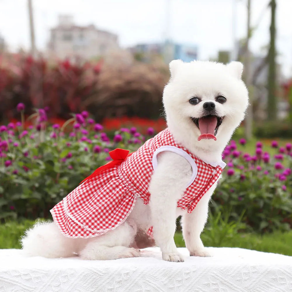 Dog Dress for Small Dog Girl Puppy Clothes Female Princess Tutu Striped Skirt Summer Shirt for Chihuahua Cat Pet Apparel Outfits