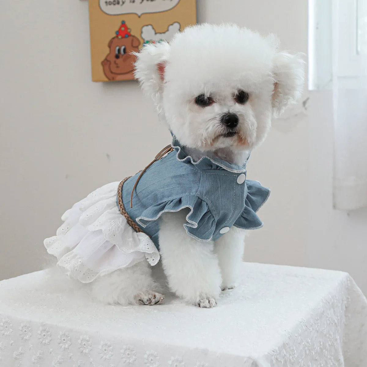 Pet Cowboy Lace Coat for Dogs Cats Ponds Dresses Cute Cowboy Skirts Dog Dresses for Small Dogs Puppy Clothes for Small Dogs