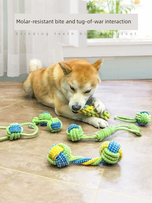 Tug of War Big and Small Dogs Pulling Dog