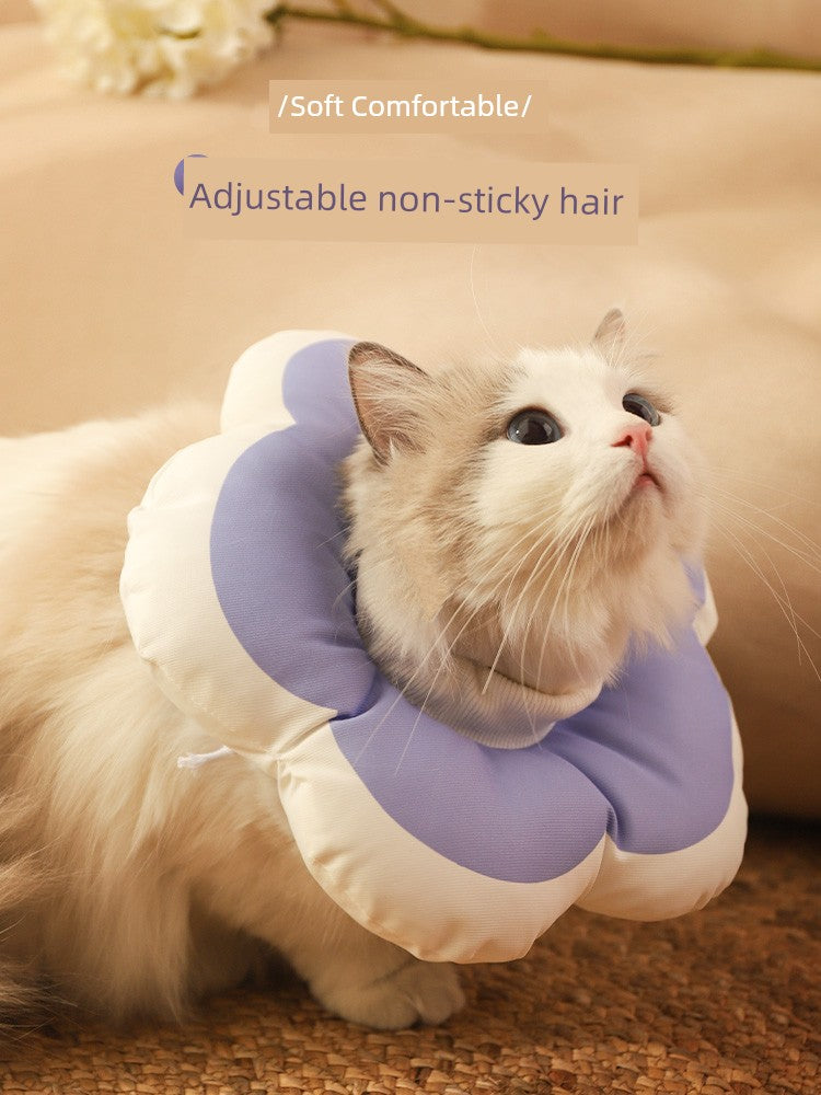 Cat collar designed to prevent licking or biting