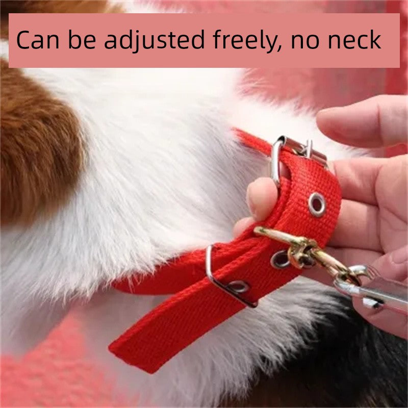 Thickening and Wear-Resistant Puppy Collar Pet Supplies Dog