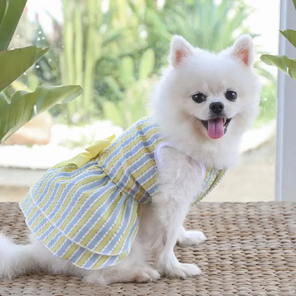 Dog Dresses for Small Dogs Cats Puppy Clothes Summer Princess Pet Dresses Girl Female Doggies Tutu Skirt Apparel for Chihuahua