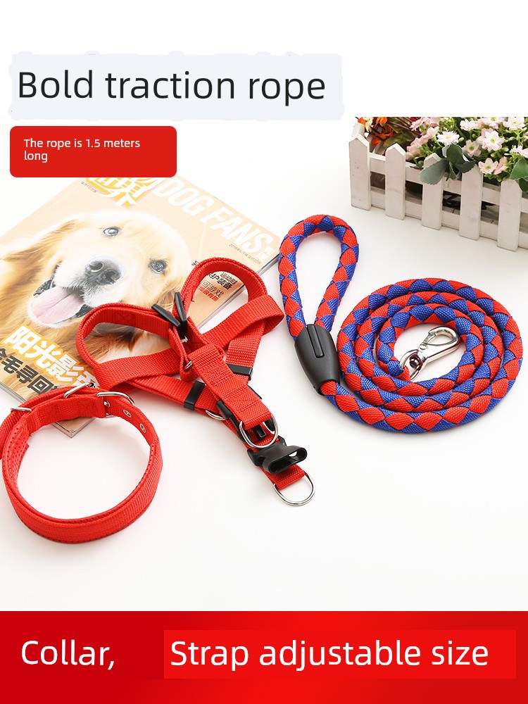 Teddy Large Collar Pet Supplies Dog Hand Holding Rope