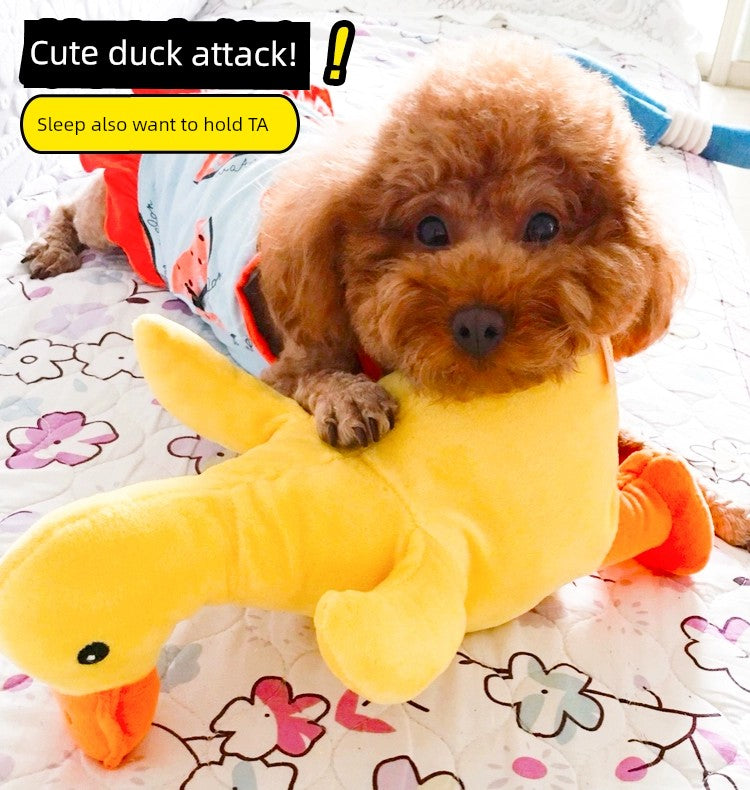 Dog Sound Toy Plush Duck Small and Medium-Sized Dogs Vent Bite-Resistant Molar Pet