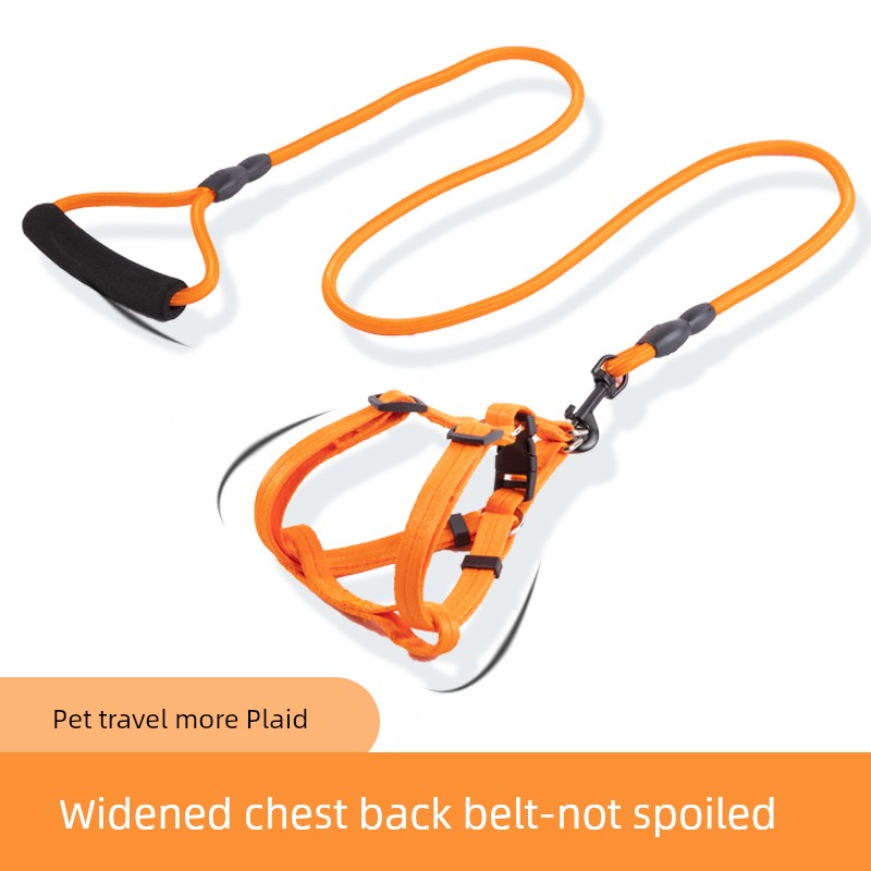 Harness and Leash for Small to Medium Sized Dogs